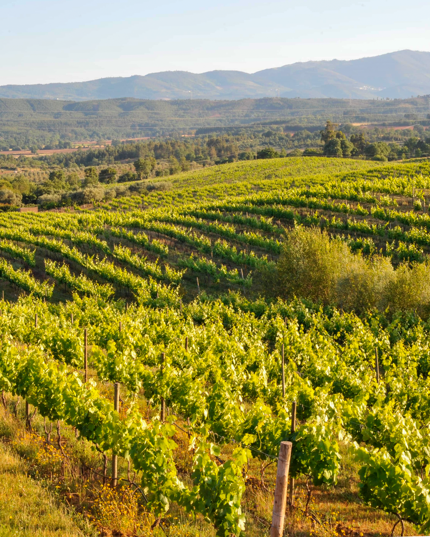 Região Beira Interior