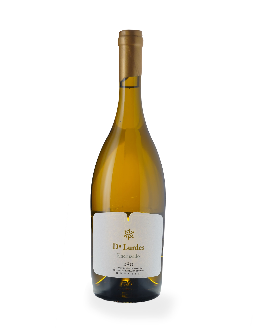 Madre de Água Dª Lurdes Encruzado Branco 2014